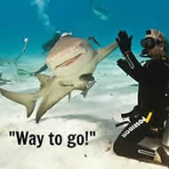 Side-Out Ambassador Program