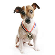 State Volleyball Champions