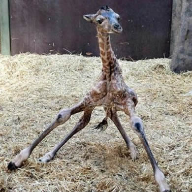 Volleyball Performance Other skills