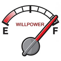 If At First You Don't Succeed, Tryout Again Will Power