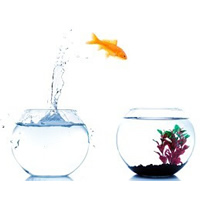 #WillToWay: 5 Tips for Leaving Your Comfort Zone