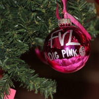Advice from a Longtime Dig Pink® Organizer! Ornament